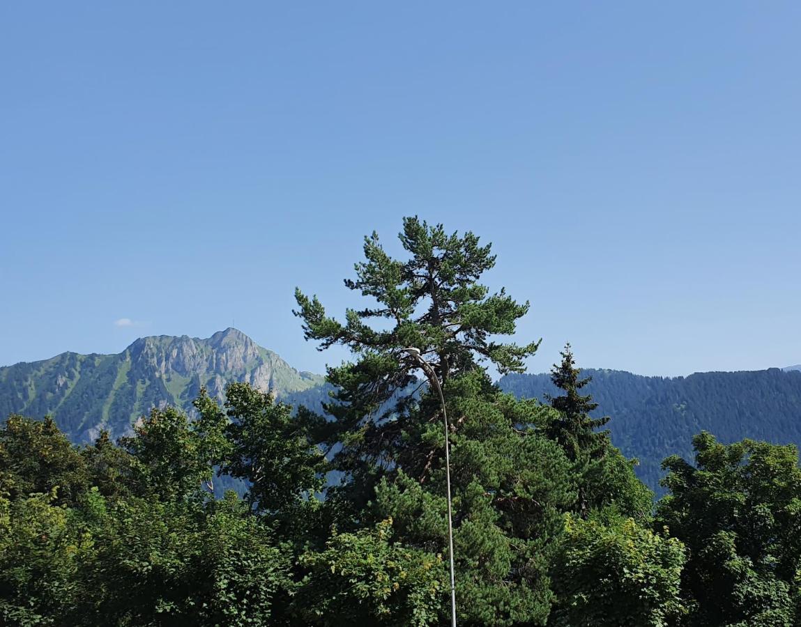 Appartement Nérine à Leysin Extérieur photo
